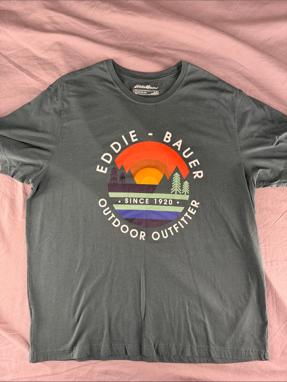 Eddie Bauer Gray Short Sleeve Tee with Sunset Mountain Graphic